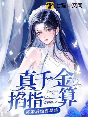 清穿之在四爷后院的摆烂日常全文免费阅读