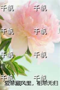 天行客服怎么联系