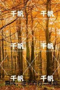 死亡的狂欢叫什么