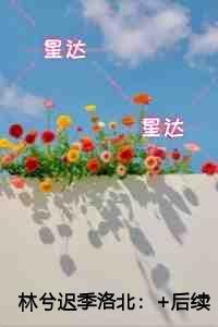林兮迟季洛北